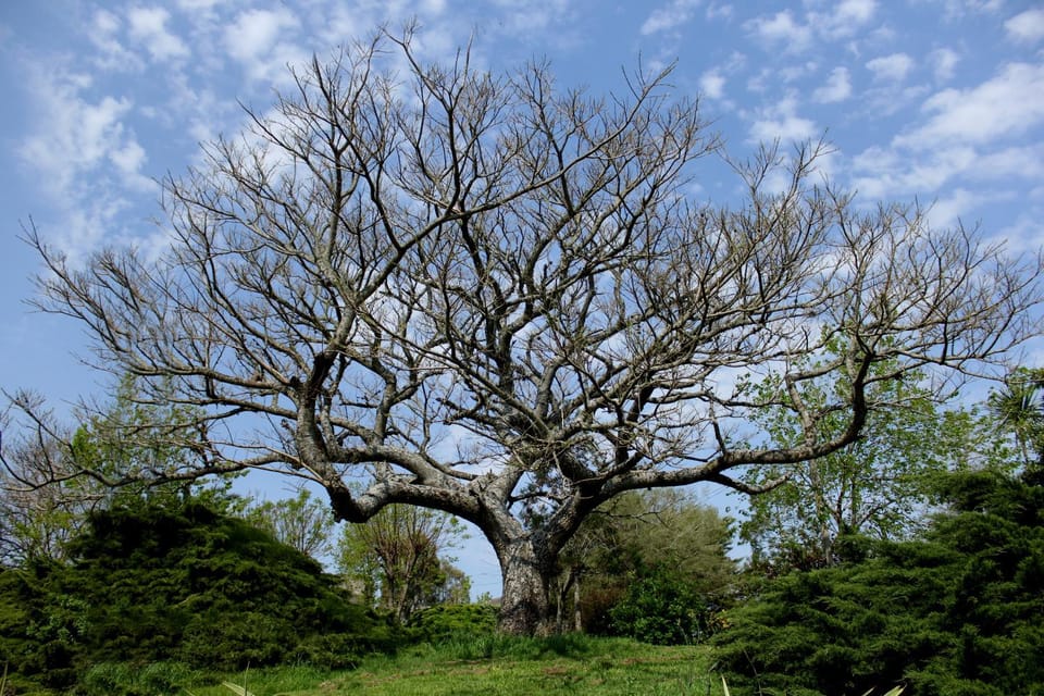 Natural landscape