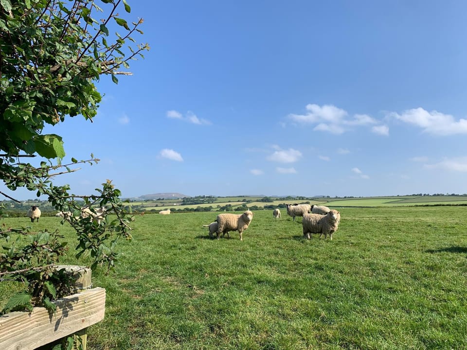 Rescorla Retreats - Ivory Luxury tent in England