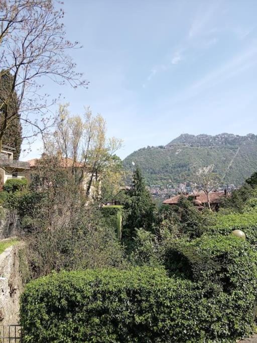 CASA TURRI House in Como