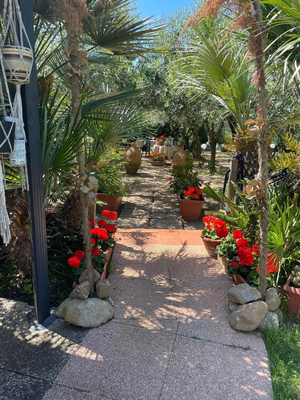 Garden