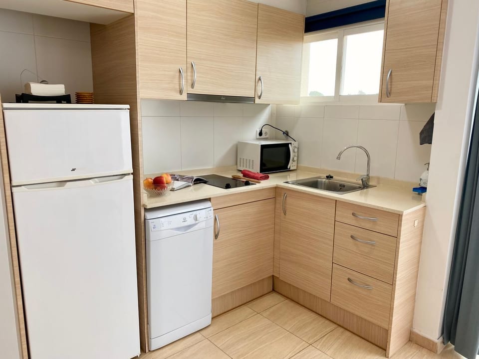 Kitchen or kitchenette, dishwasher, minibar, stove