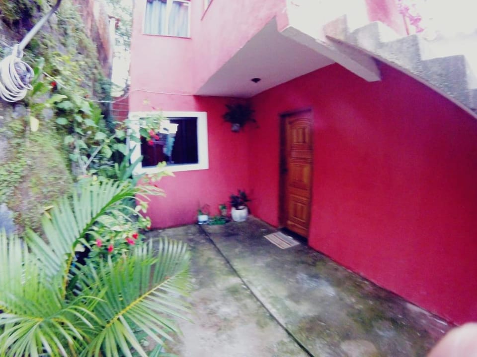 Property building, Garden, Garden view