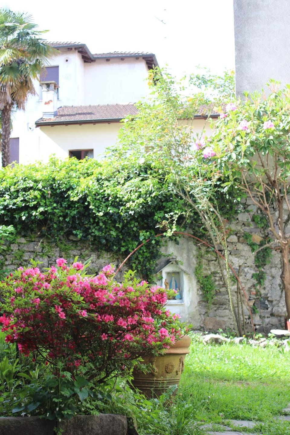 Spring, Garden