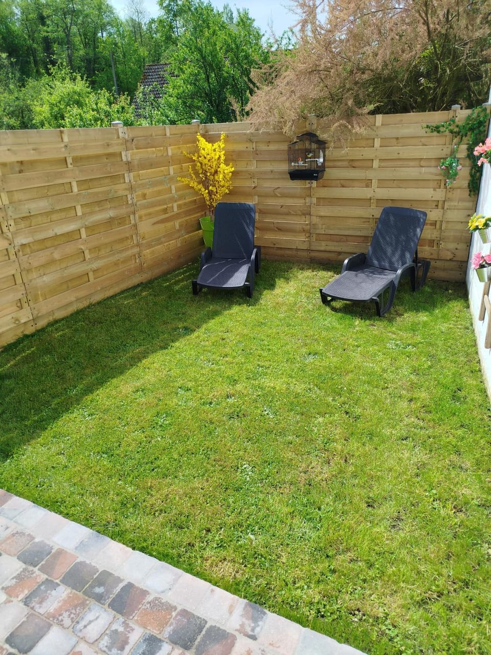 Garden, Garden view, sunbed