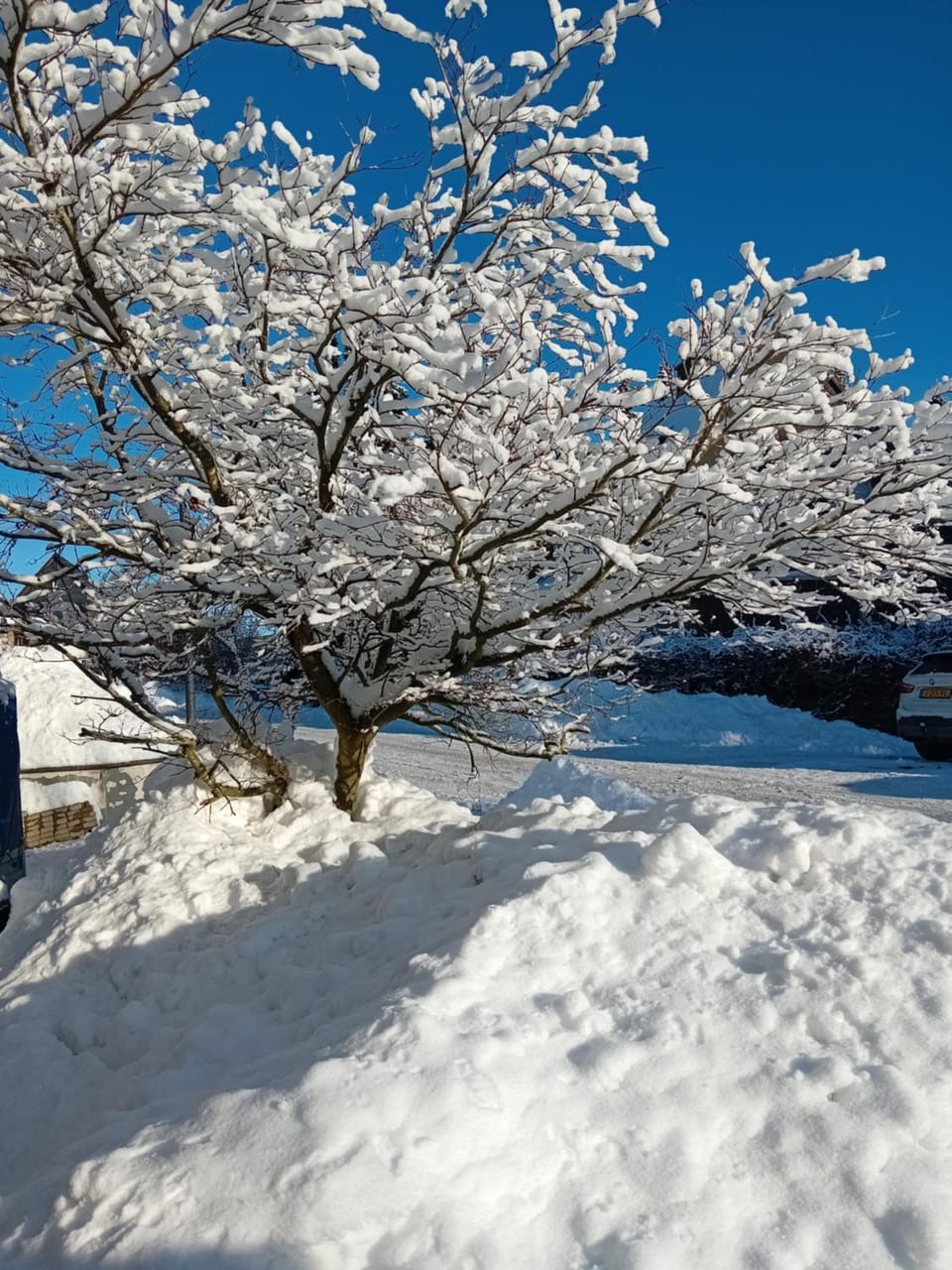 Natural landscape, Winter