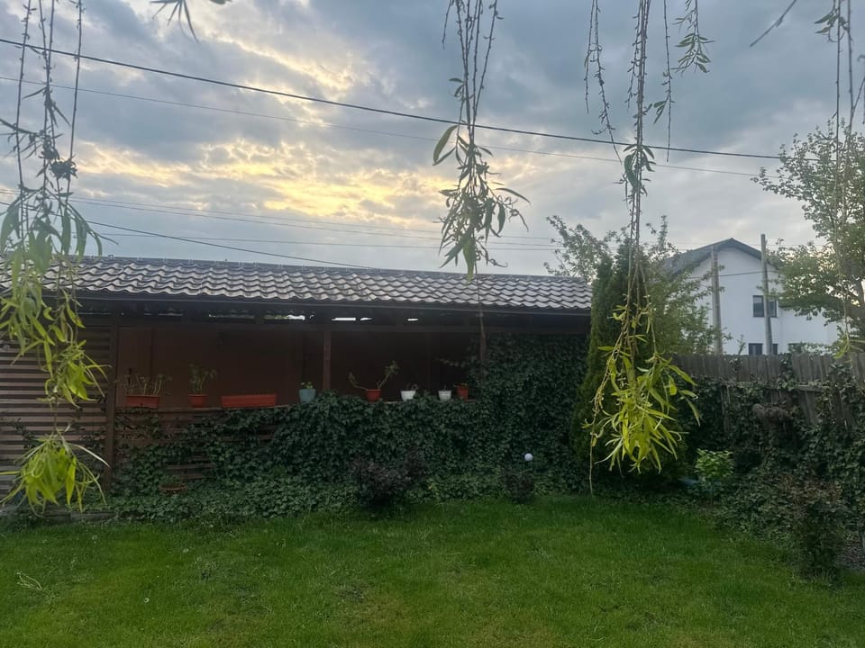 Camere de Închiriat David Corbu Bed and Breakfast in Constanța County