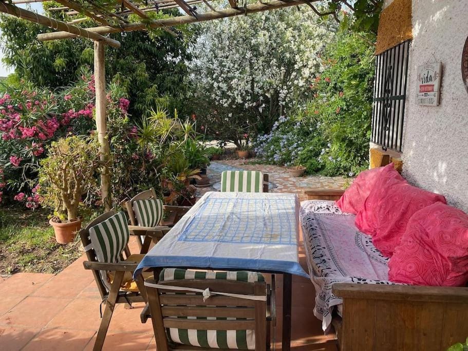Patio, Garden view