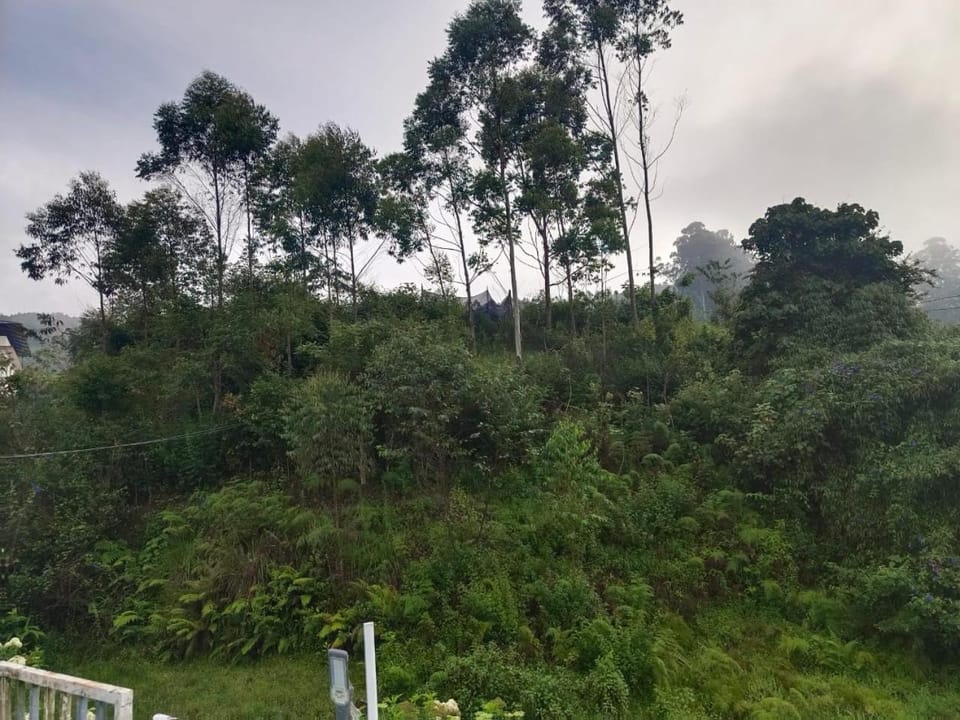 Pavithra cottage munnar Villa in Munnar