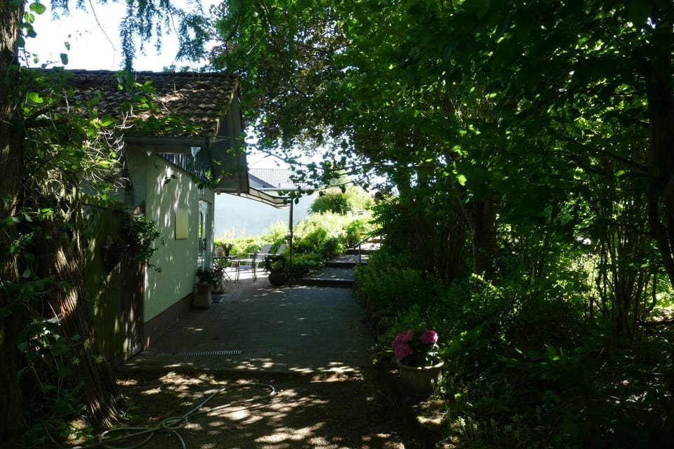 Property building, Garden, Garden view