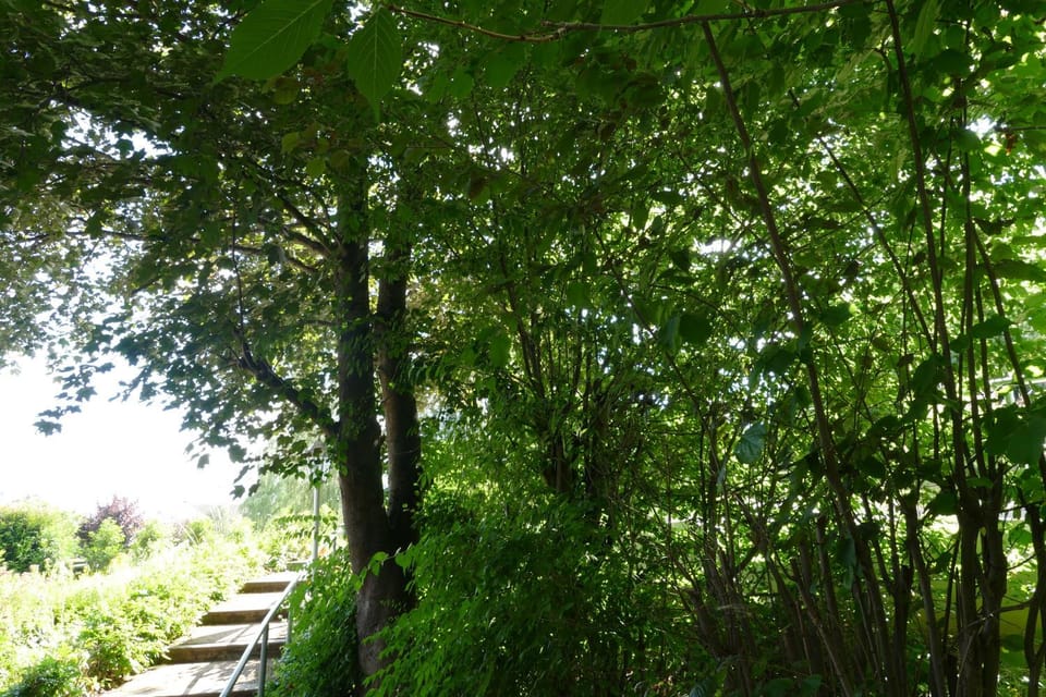 Garden, Garden view