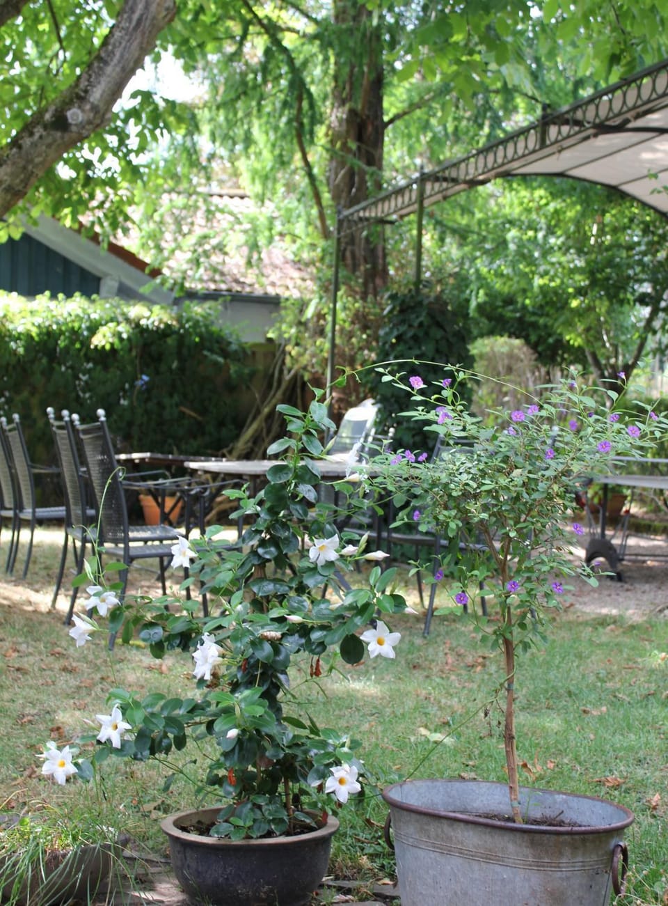 Garden, Garden view