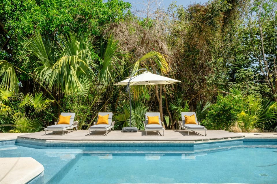 Natural landscape, Swimming pool, sunbed
