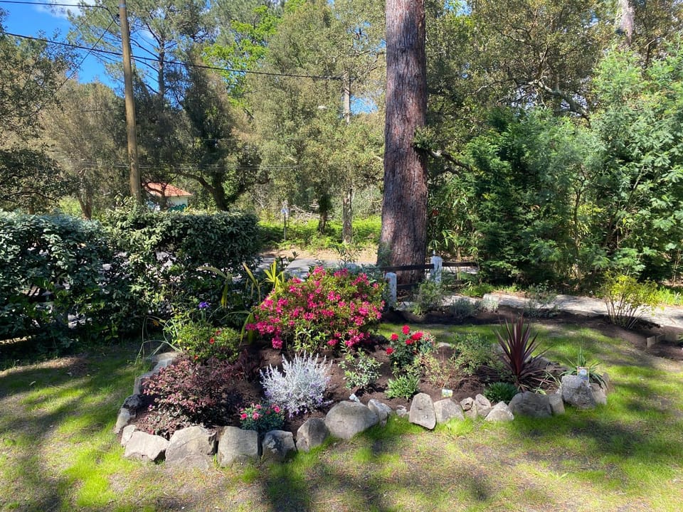 Villa landaise proche lac d’Hossegor et océan Villa in Hossegor