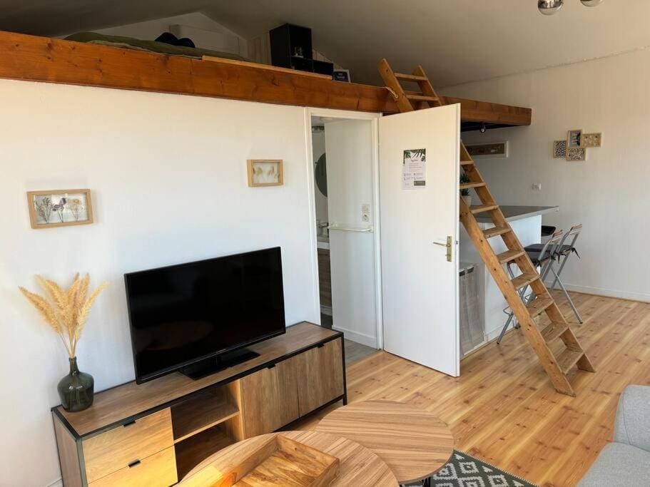 Communal lounge/ TV room, TV and multimedia