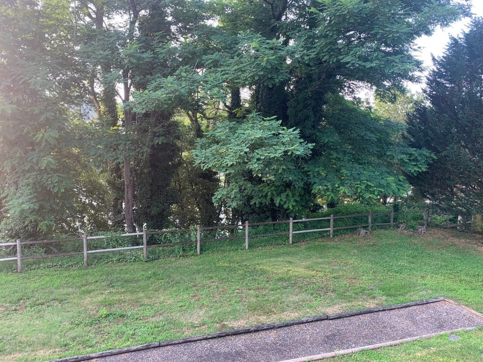 Property building, Garden view