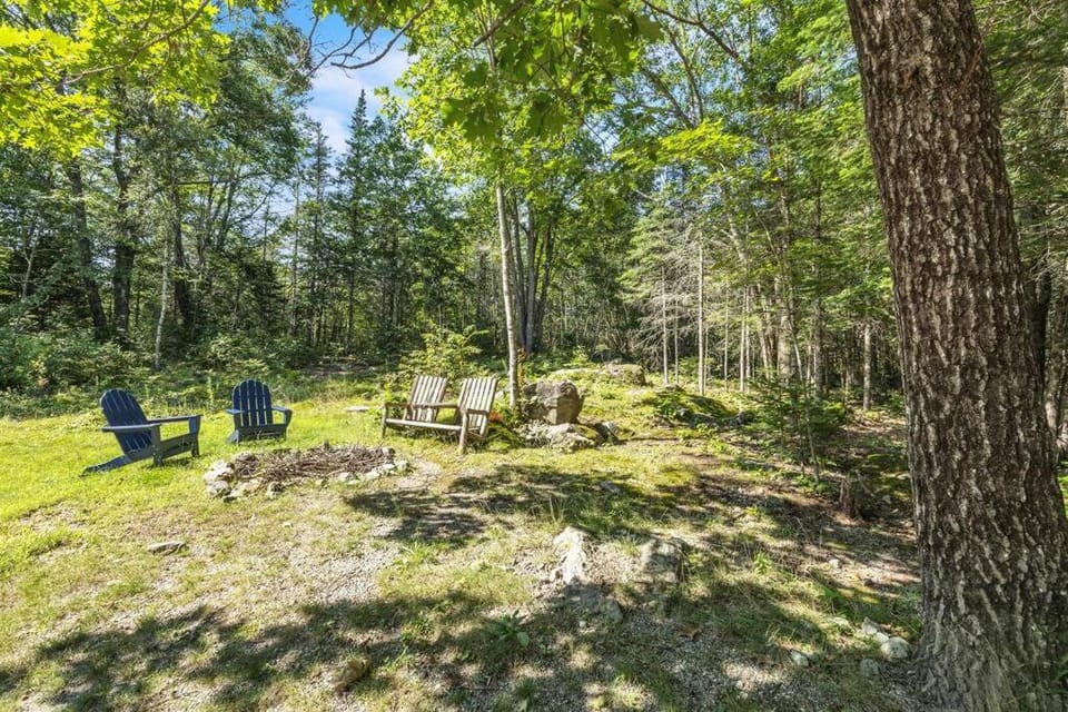 Cozy cottage in the woods House in Surry