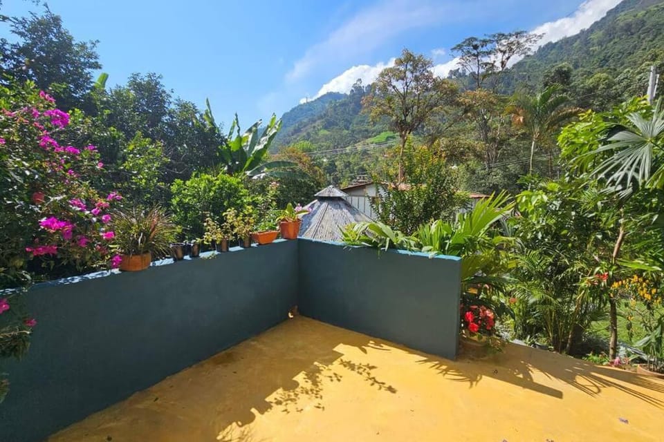 Spring, Day, Natural landscape, Garden, Garden view, Mountain view