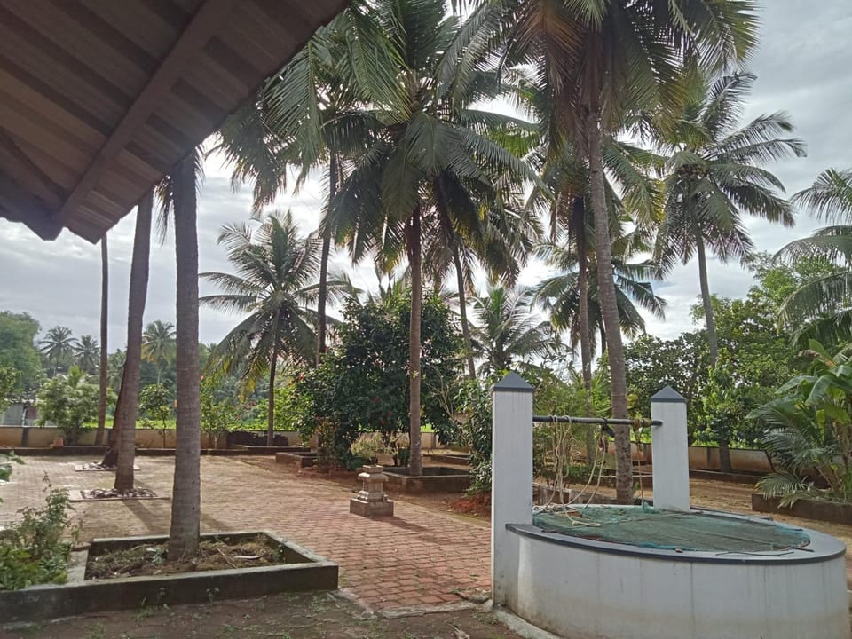 Garden, Garden view