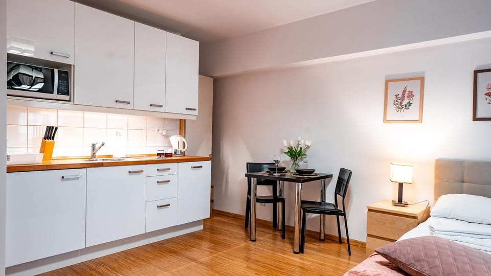 Apartament przy Henryku Apartment in Lesser Poland Voivodeship