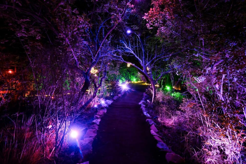 Restaurant/places to eat, Night, Natural landscape