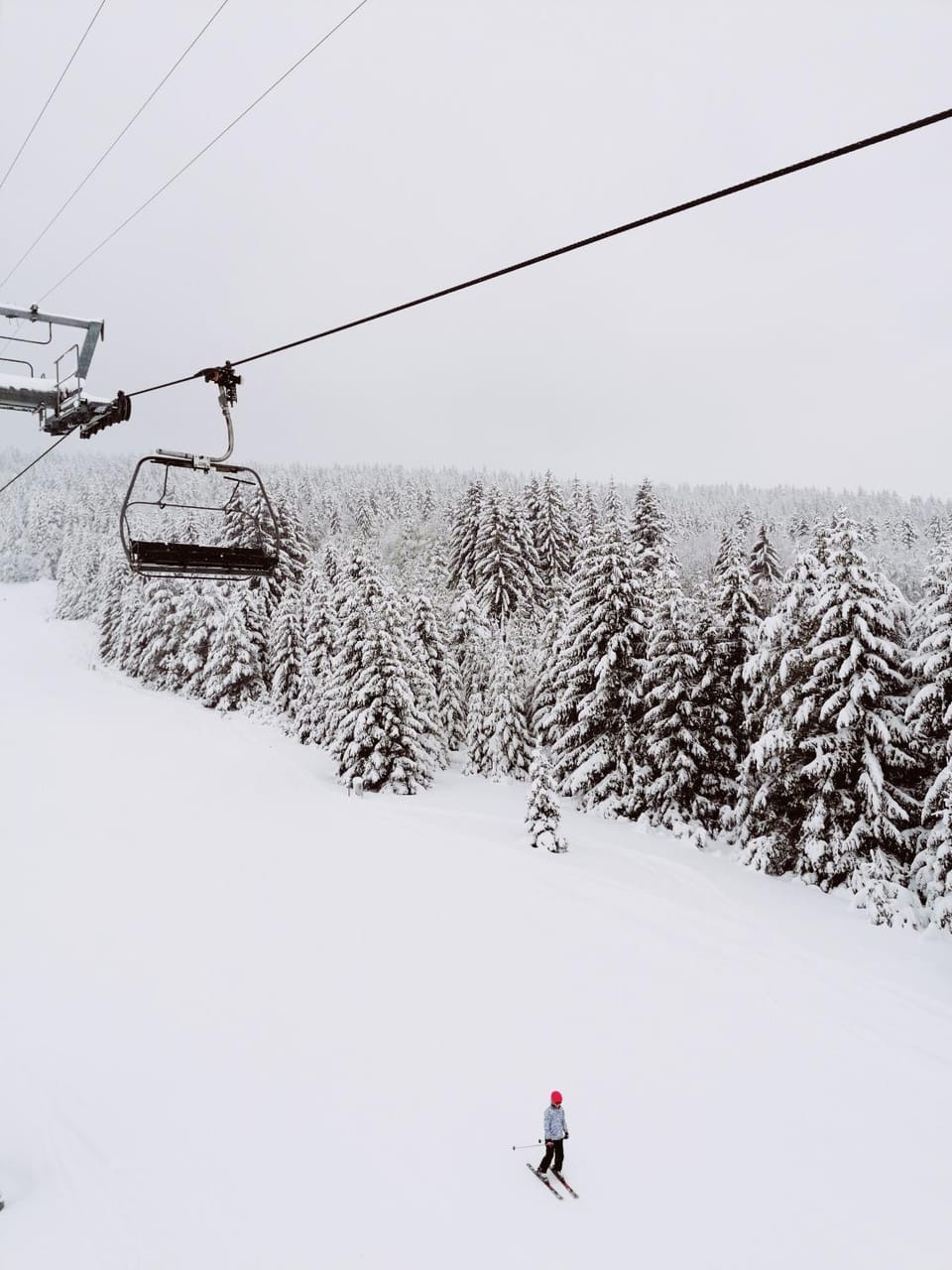 Natural landscape, Winter, Skiing