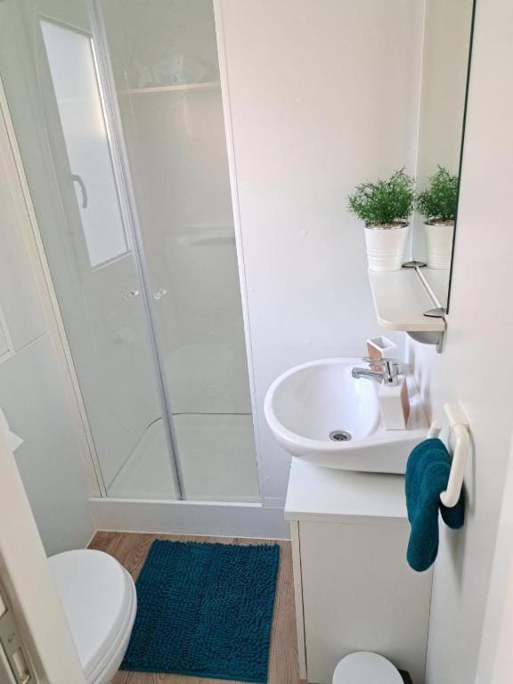 Shower, Toilet, Bathroom, towels