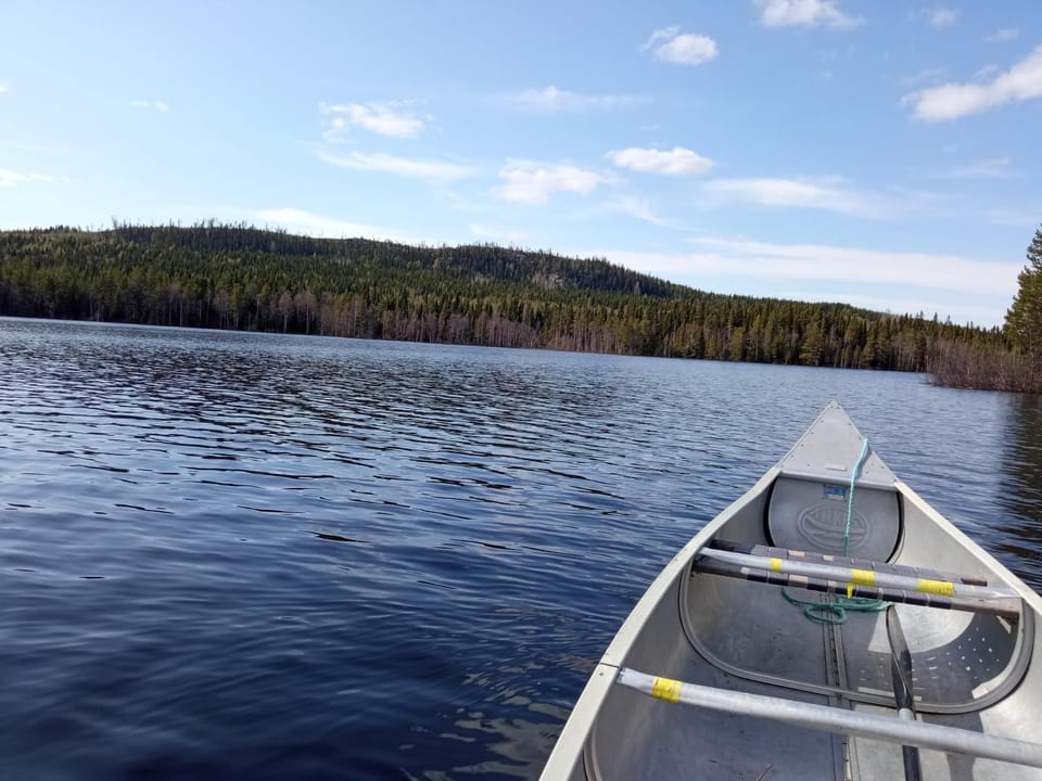 Swedish Paradise Garden & Lake BED & BREAKFAST Bed and Breakfast in Sweden