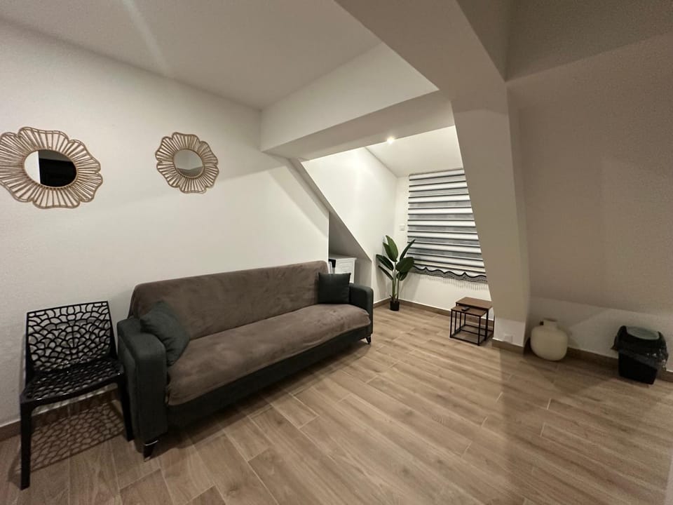 Appartement Douceur Apartment in Colmar