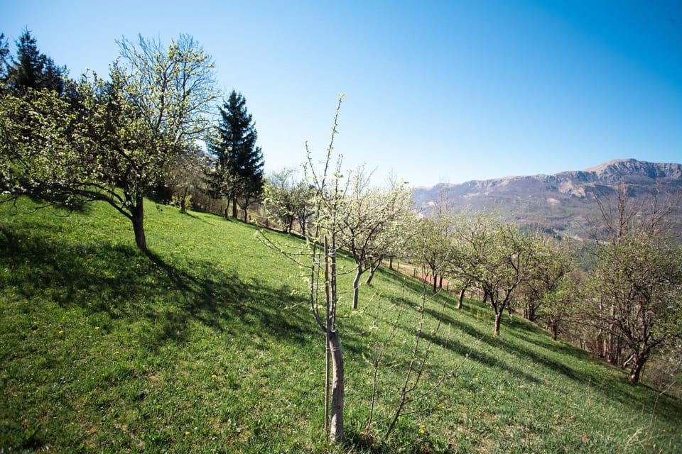 Spring, Day, Natural landscape, Mountain view