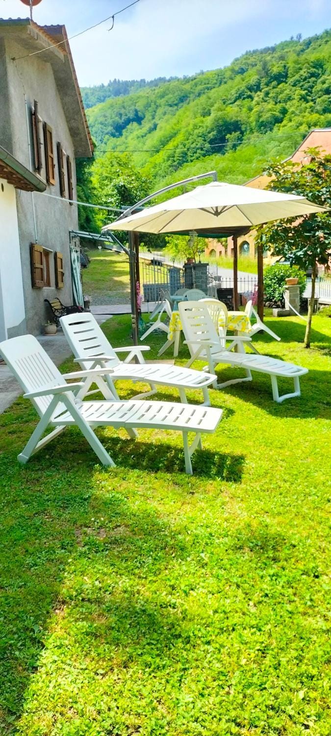 Garden, sunbed