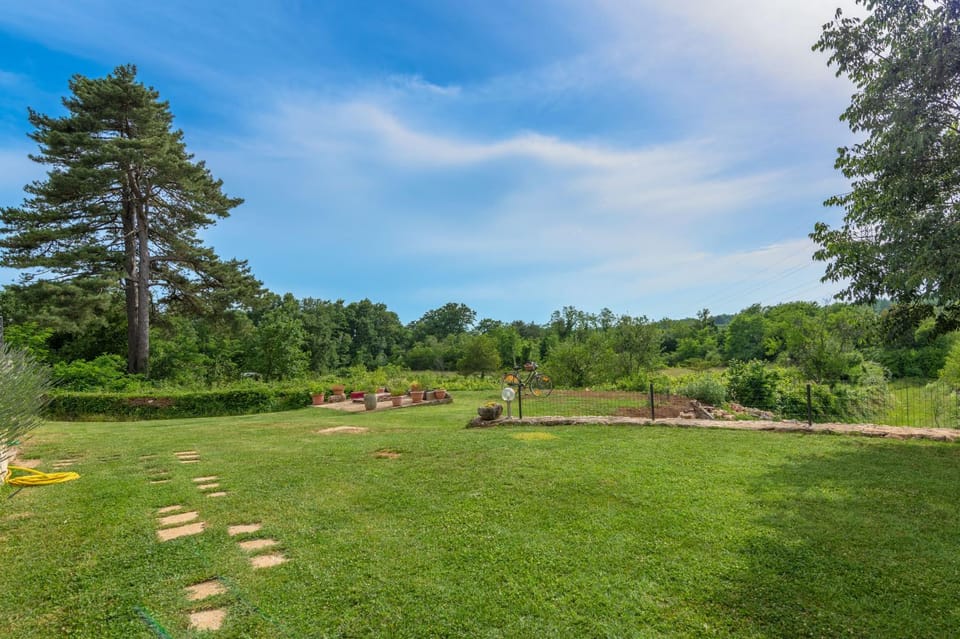 Day, Natural landscape, Garden, Garden view