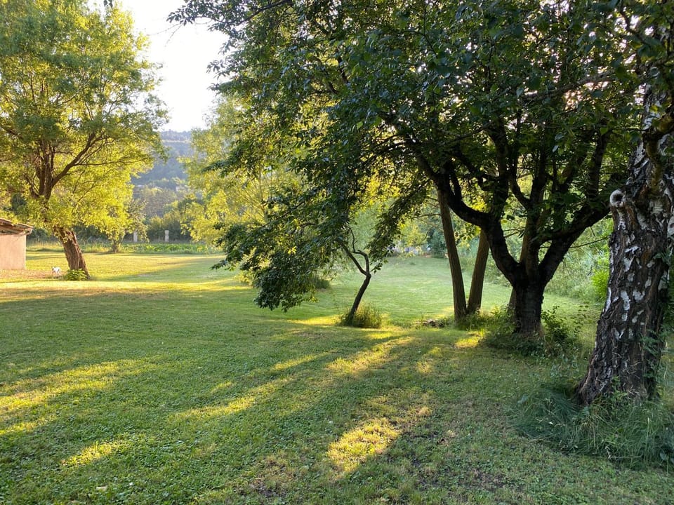 Magnifique maison dans un écrin de verdure - Idéal séjour en famille ou amis House in Provence