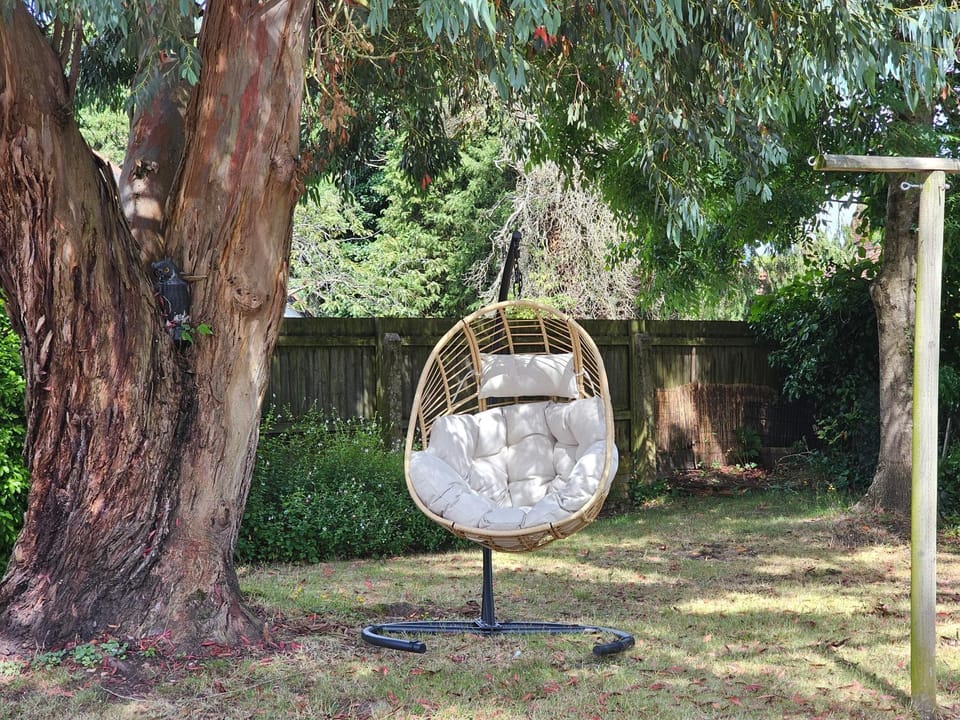 Garden, Balcony/Terrace, Seating area, sunbed