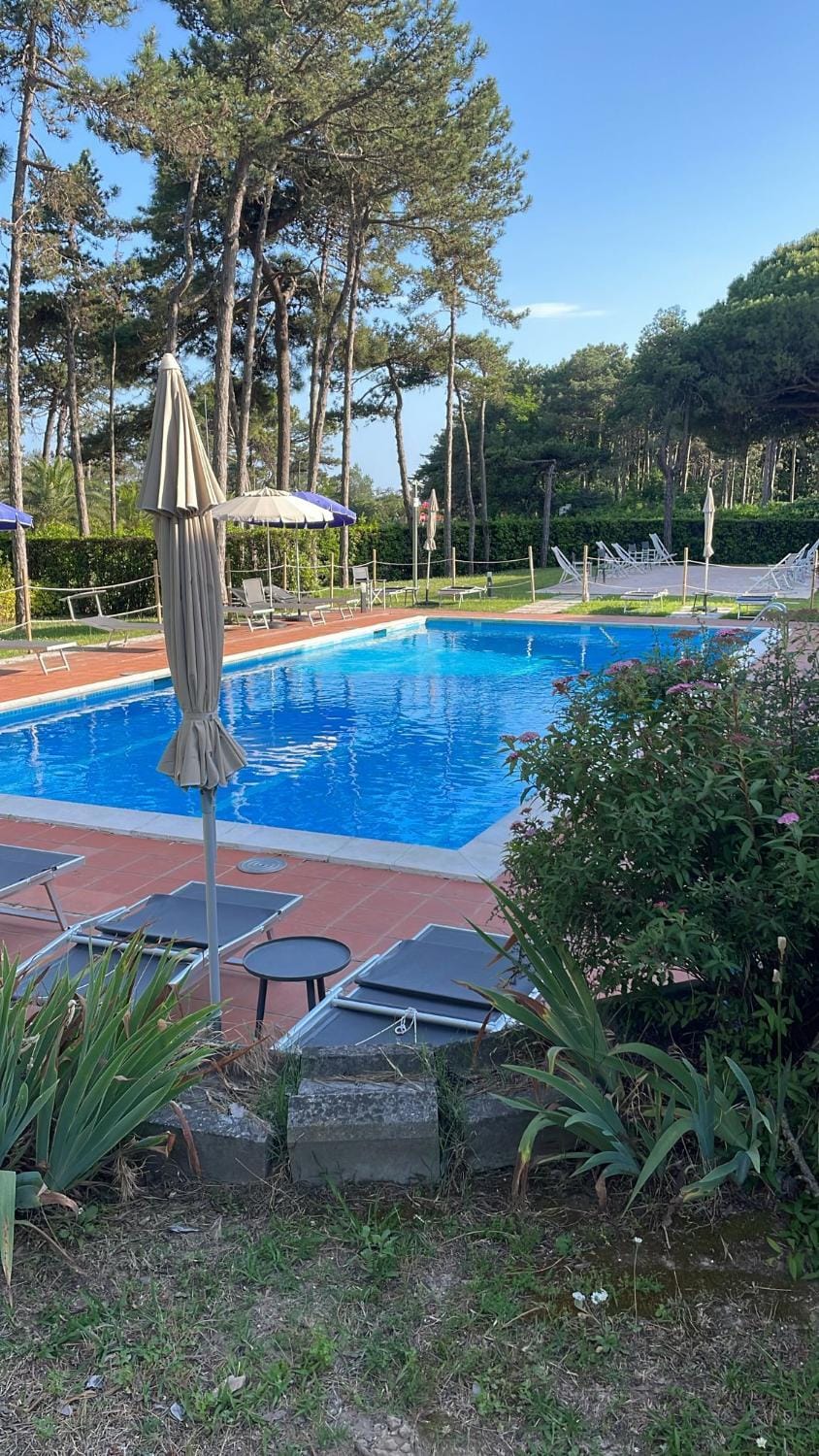 Day, Pool view, Swimming pool, sunbed