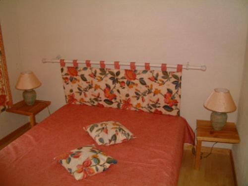 GITE AVEC PISCINE Apartment in Auvergne-Rhône-Alpes