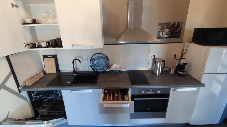 Coffee/tea facilities, Kitchen or kitchenette, minibar, pet friendly, stove