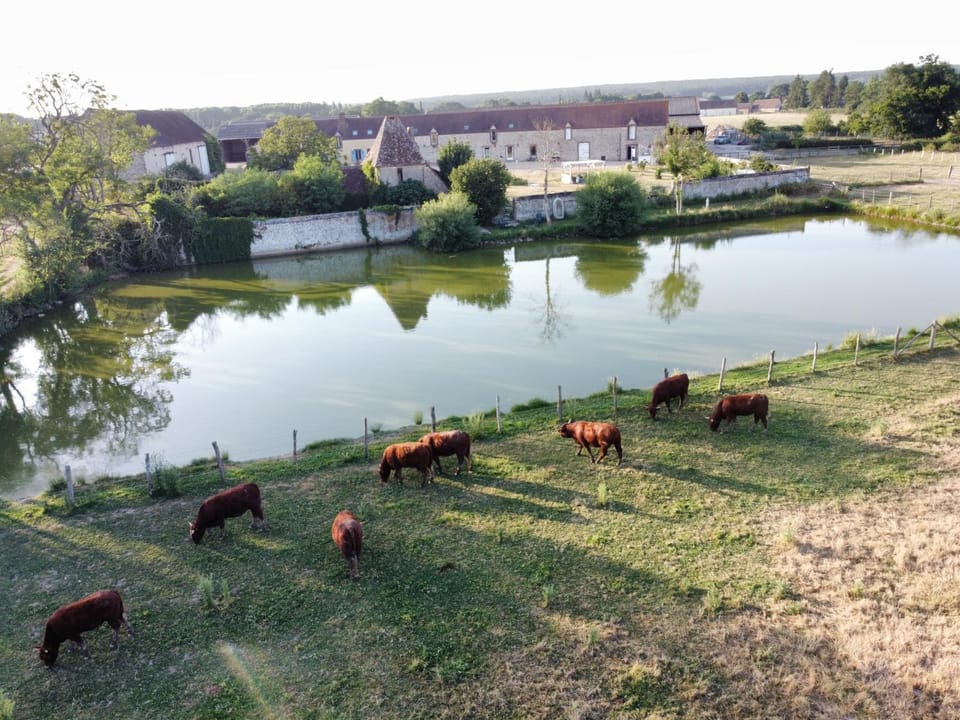 Le Perche RELAX MAX 5min Ville & Gare - Panorama, Pêche House in Centre-Val de Loire