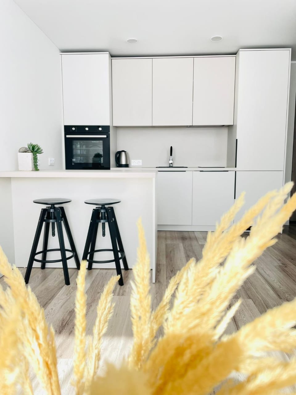 Kitchen or kitchenette, pet friendly, stove