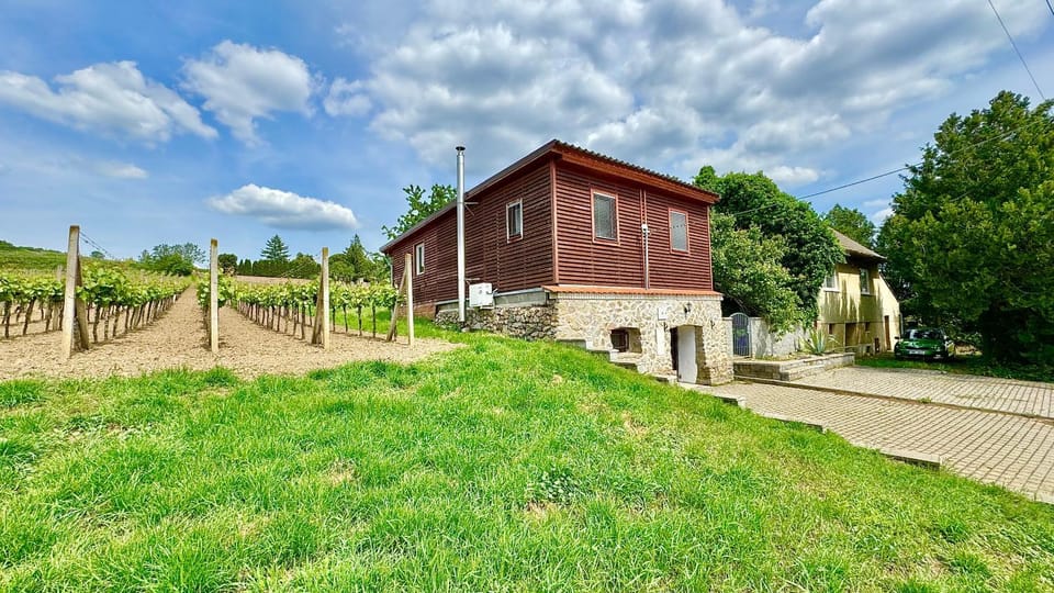 Vinný sklep Monty Přítluky House in South Moravian Region
