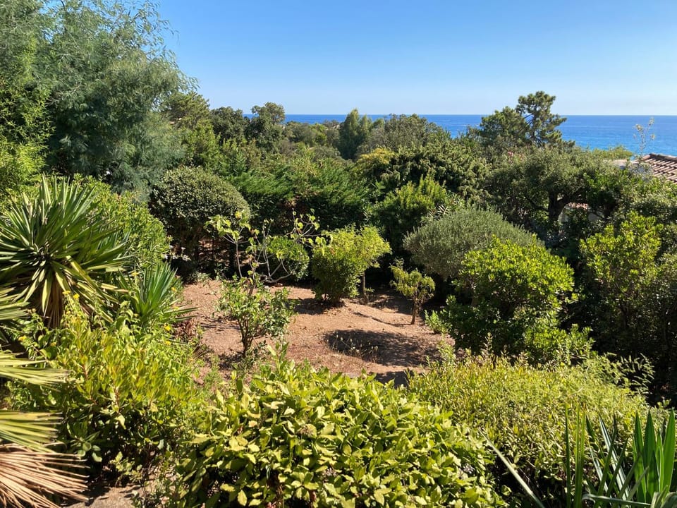 Garden, Garden view, Sea view