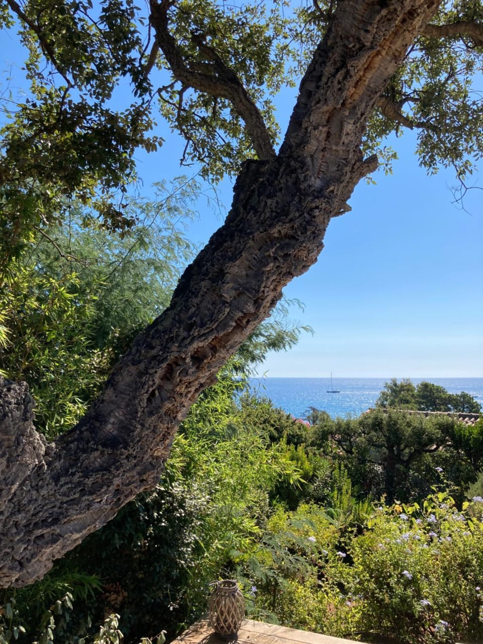 Garden, Sea view