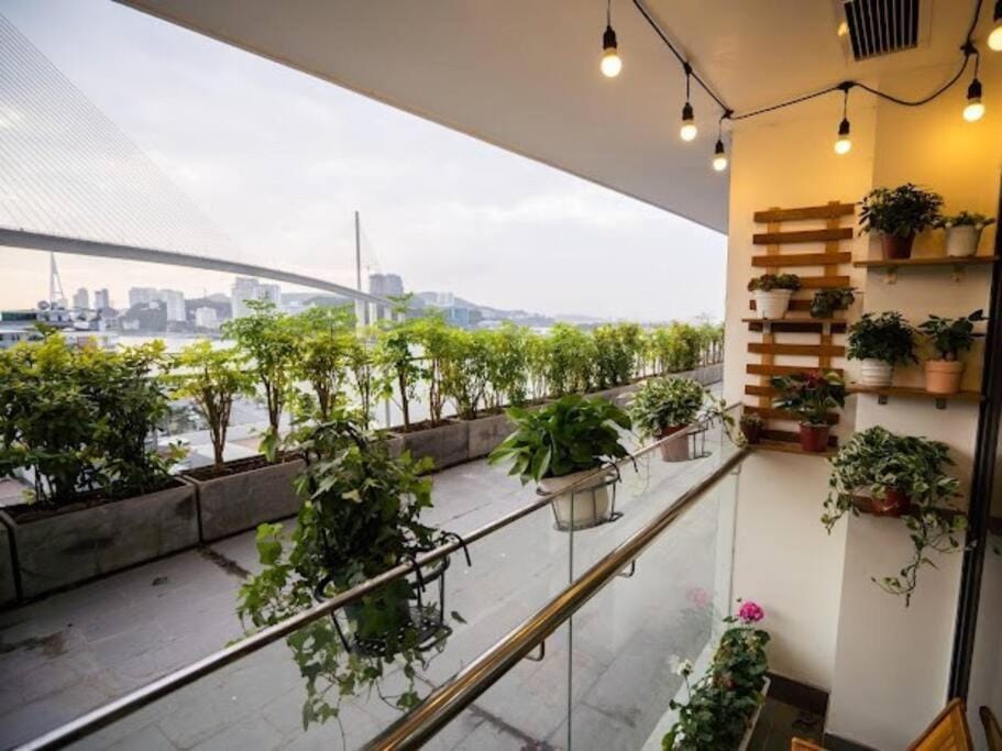 Home With View Bai Chay Bright Apartment in Vietnam