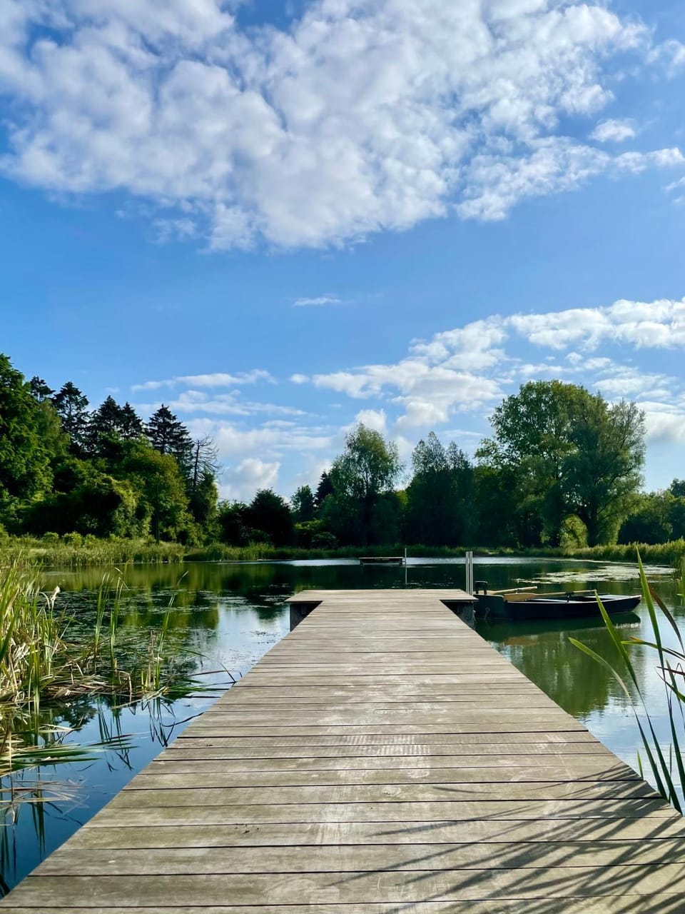 Spring, Natural landscape, Activities, Lake view