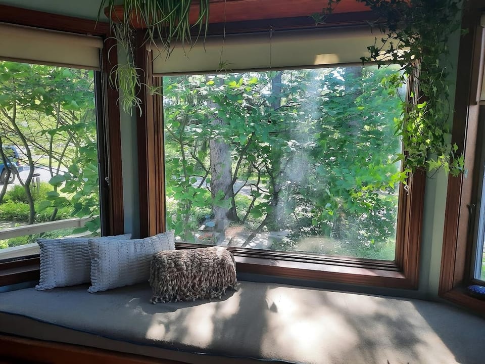 View (from property/room)