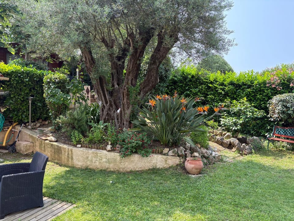 magnifique maison 6 personne piscine Villa in Antibes