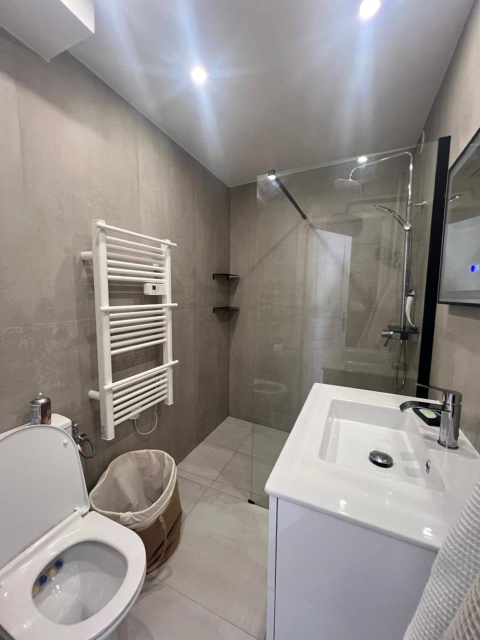 Shower, Toilet, Bathroom, Bath, towels