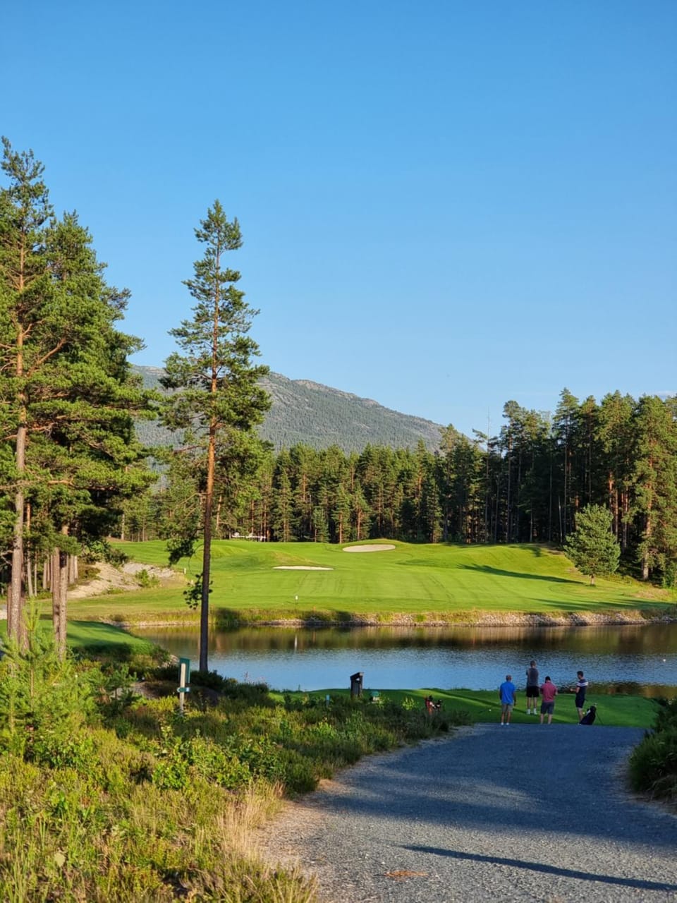 Vrådal Golf, Mountain and Water Views Apartment in Viken, Norway