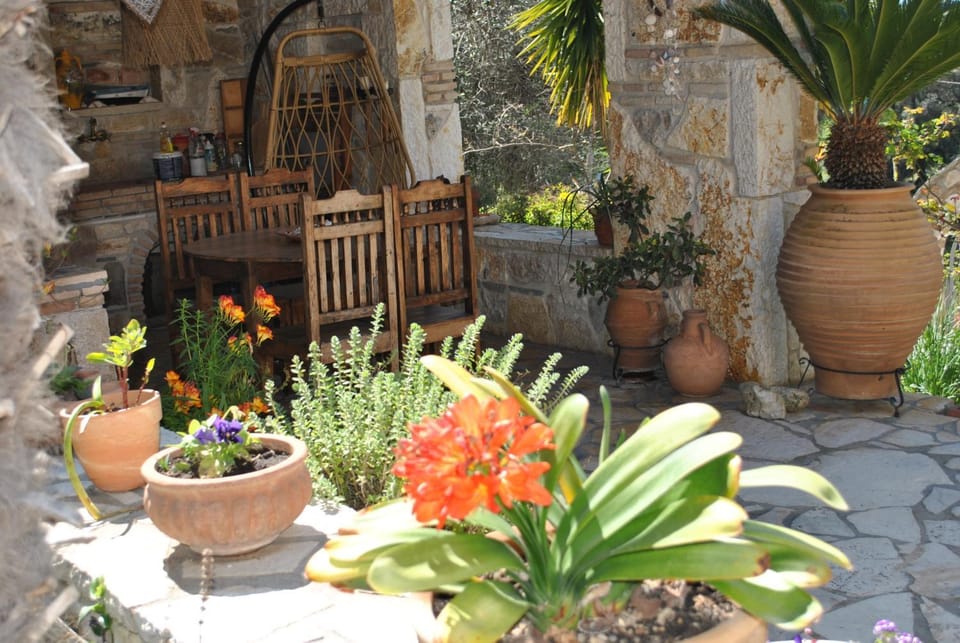 Patio, Garden