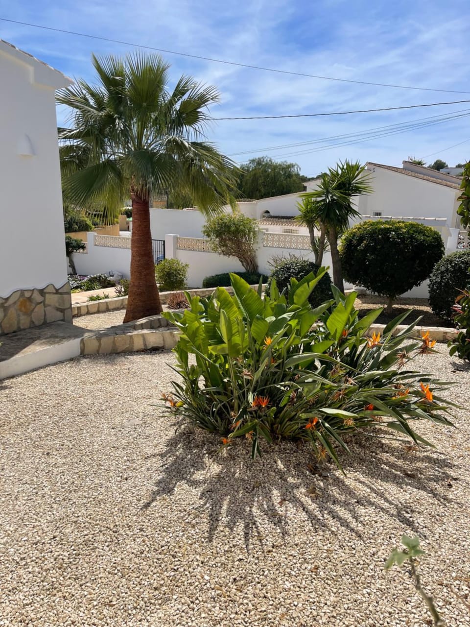 Garden view