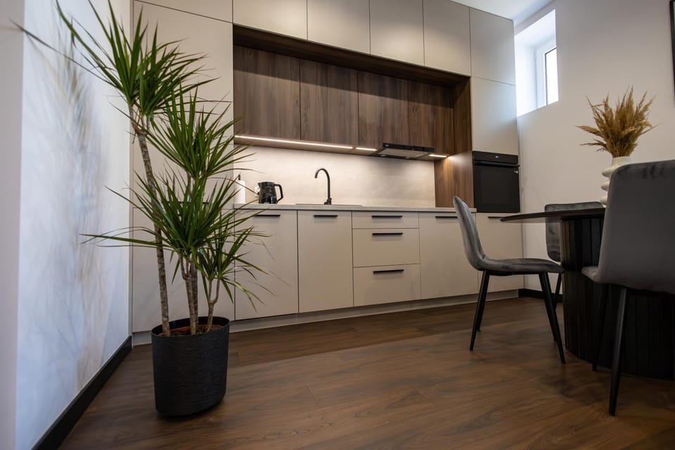 Kitchen or kitchenette, kitchen